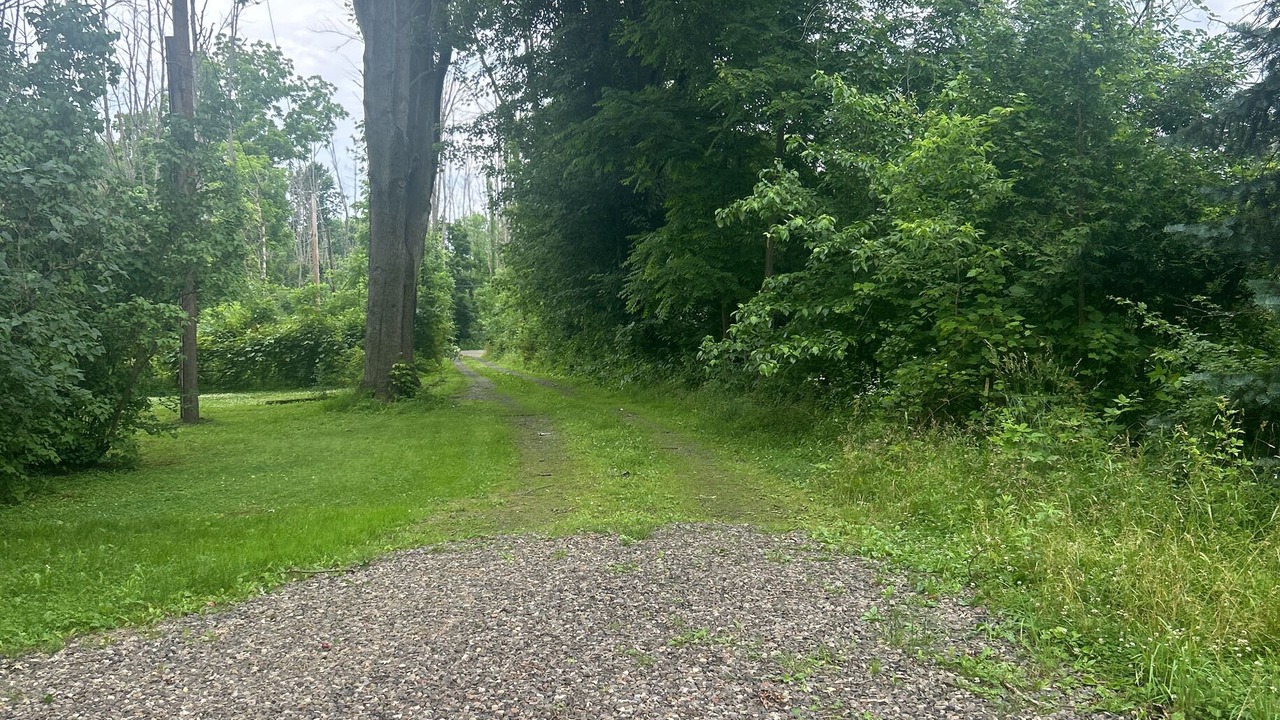 Photo of Outdoor in Middlesex