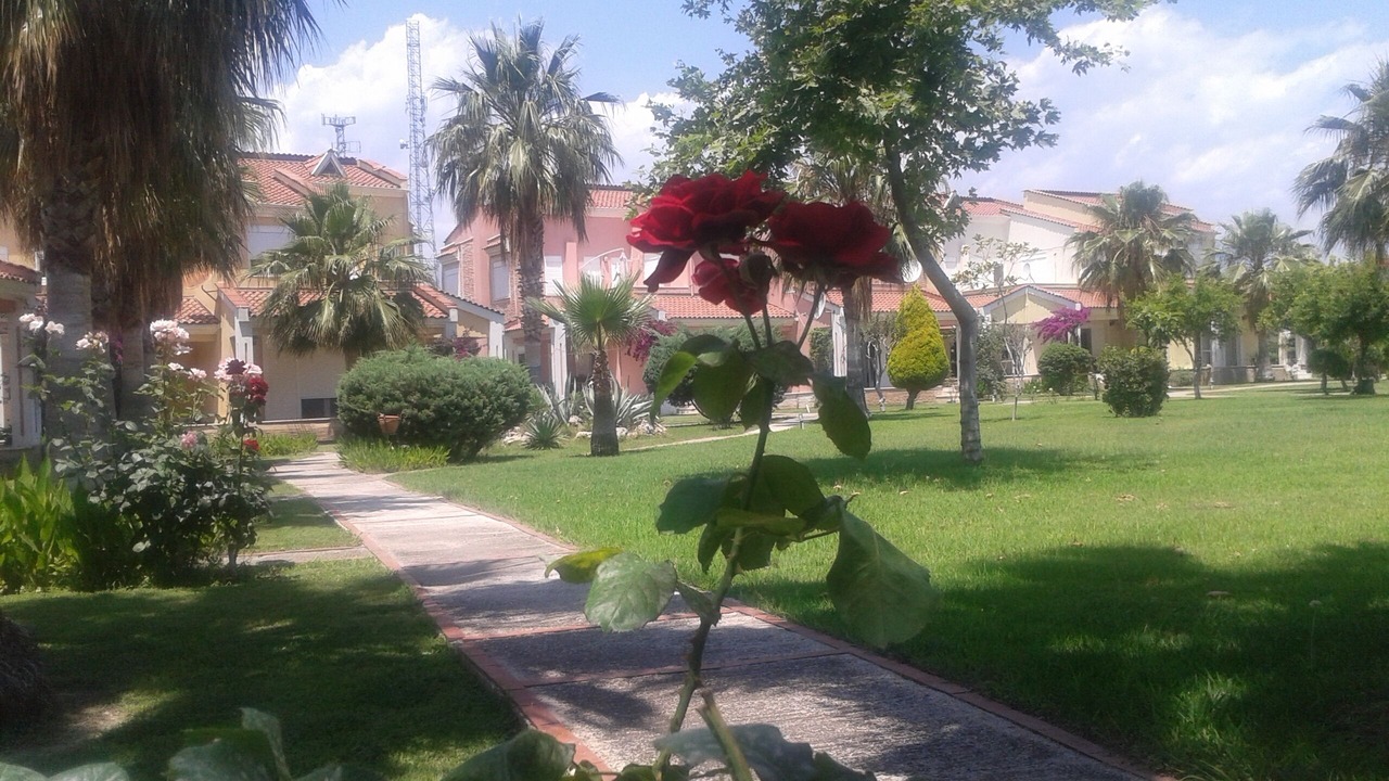 Photo of Outdoor in Camyuva