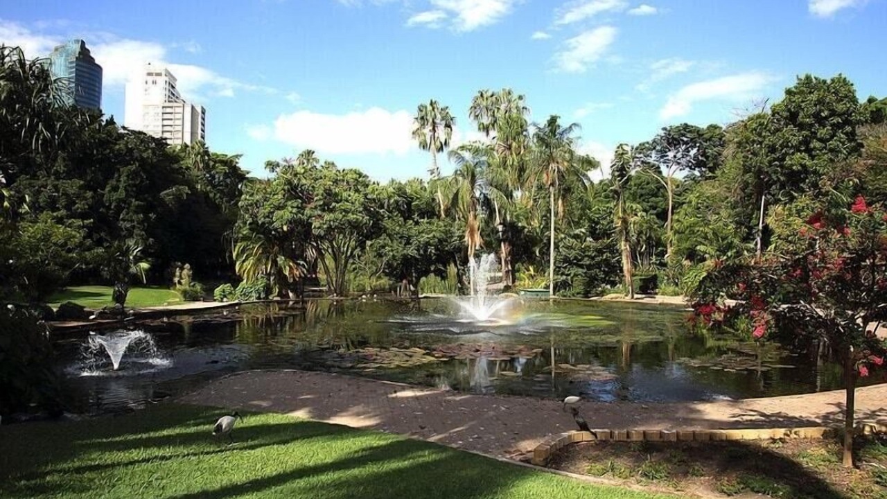 Photo of Outdoor in East Brisbane