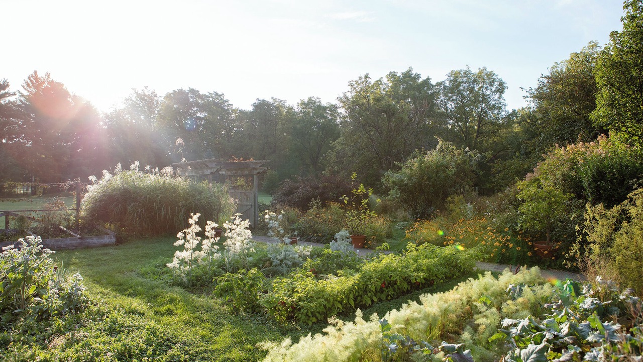 Photo of Outdoor in Cambridge
