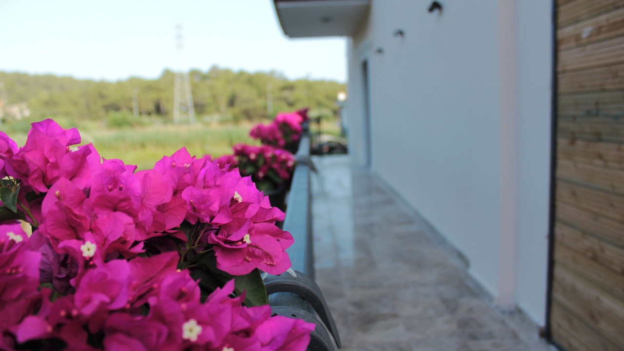 Photo of Outdoor in Sarigerme