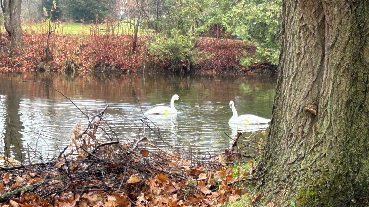 Photo of Outdoor in Erin