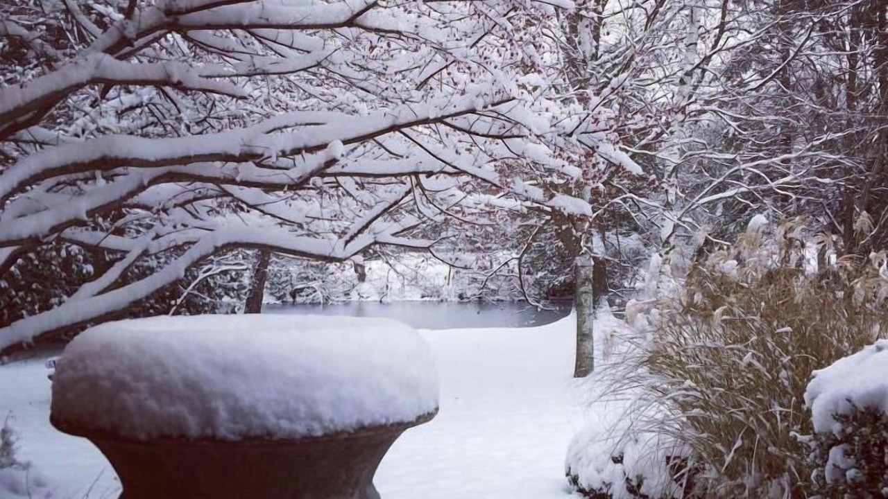 Photo of Outdoor in Erin