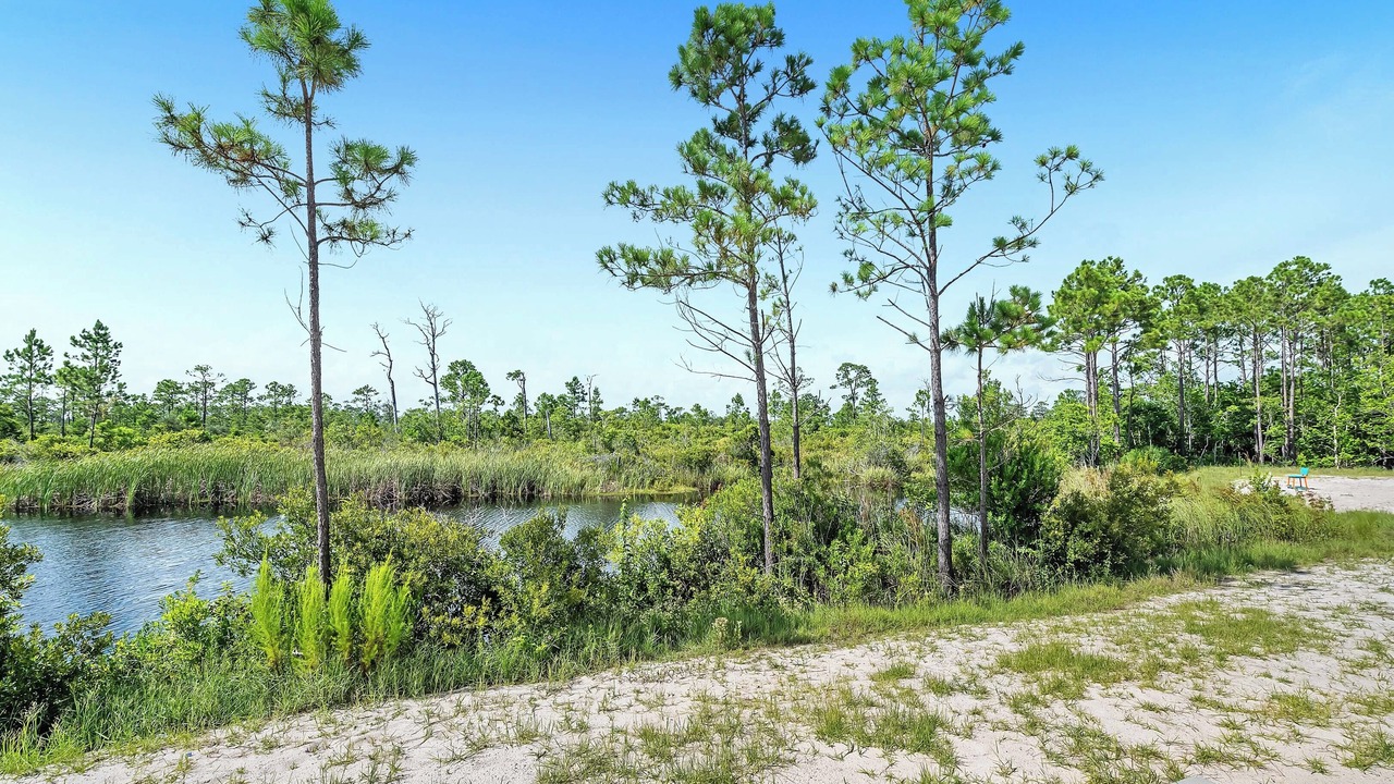 Photo of Outdoor in Orange Beach
