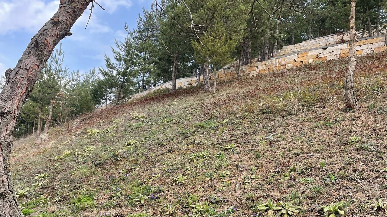 Photo of Outdoor in Iznik