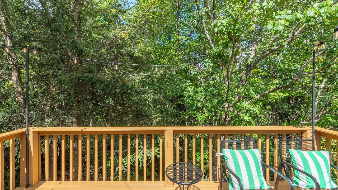 Photo of Outdoor in Asheville