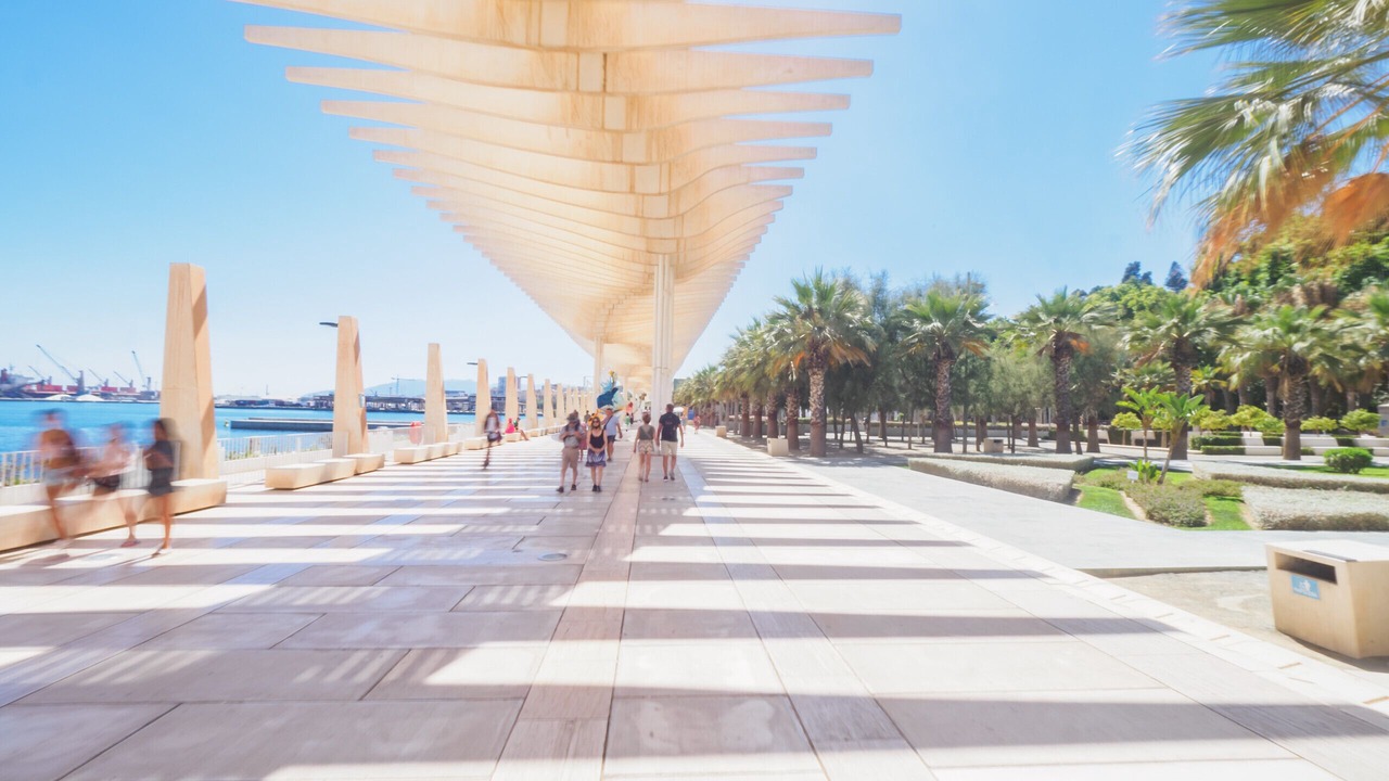 Photo of Outdoor in Palma-Palmilla