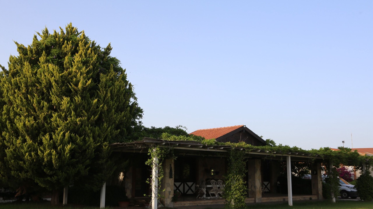 Photo of Others in Seferihisar