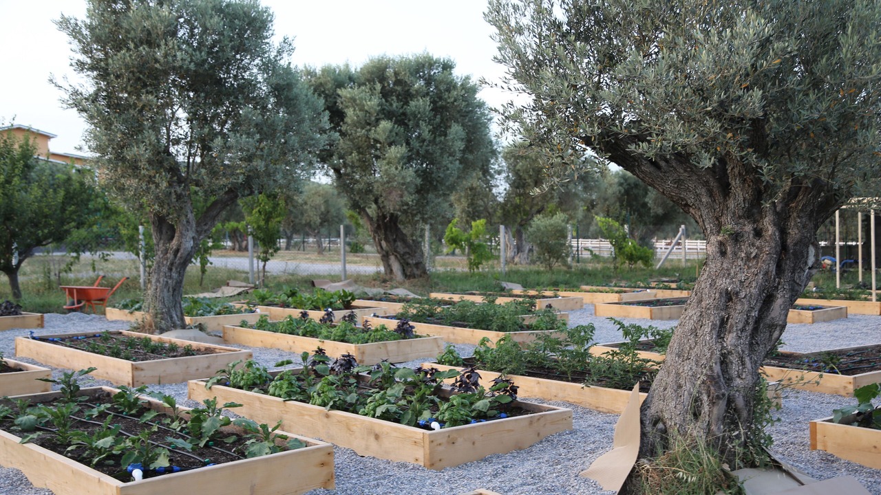 Photo of Outdoor in Seferihisar