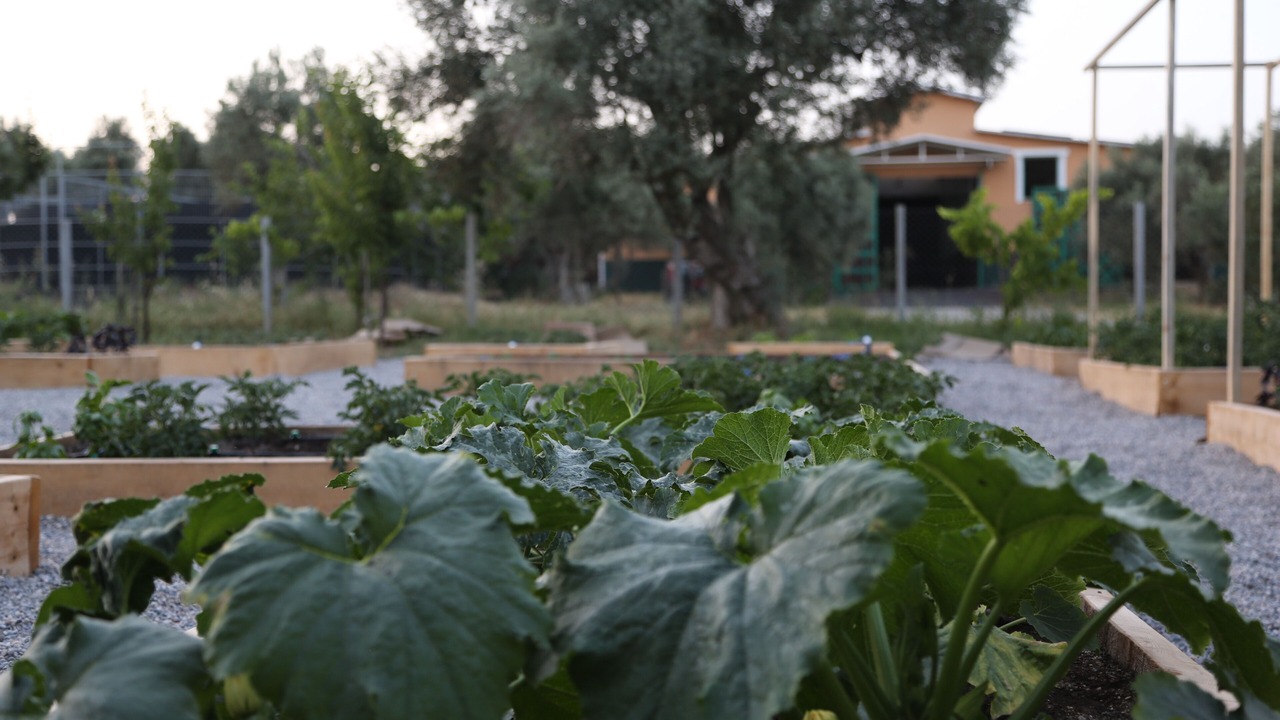 Photo of Outdoor in Seferihisar