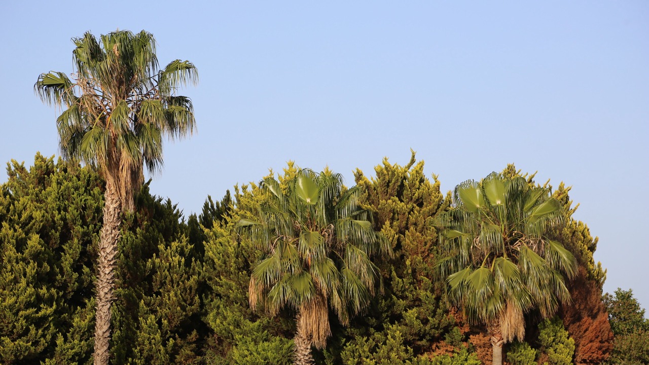Photo of Outdoor in Seferihisar