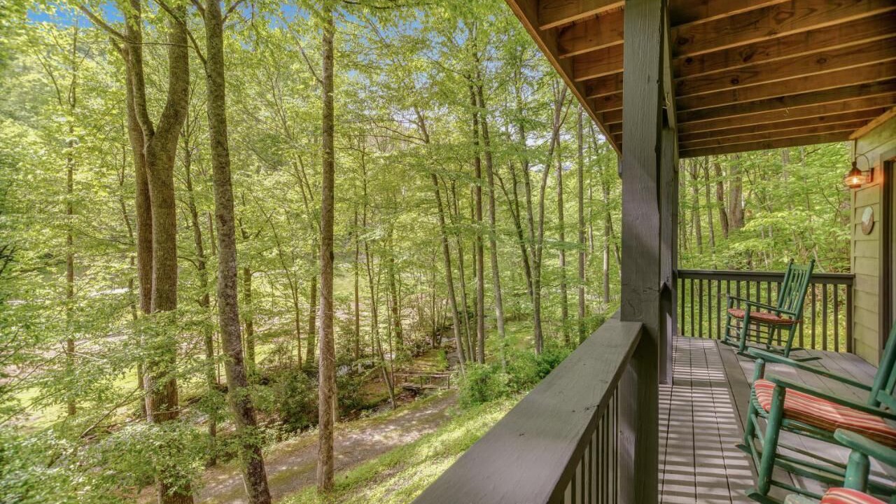 Photo of Outdoor in Sylva