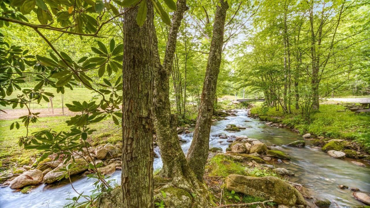 Photo of Outdoor in Sylva