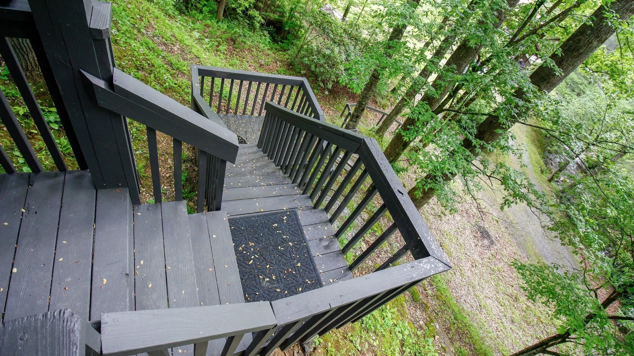 Photo of Outdoor in Sylva