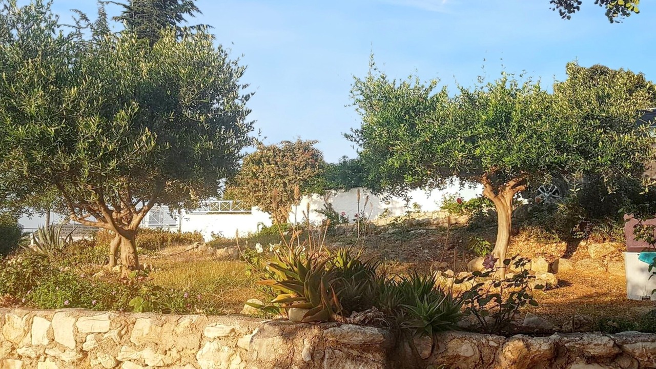 Photo of Outdoor in Douliana