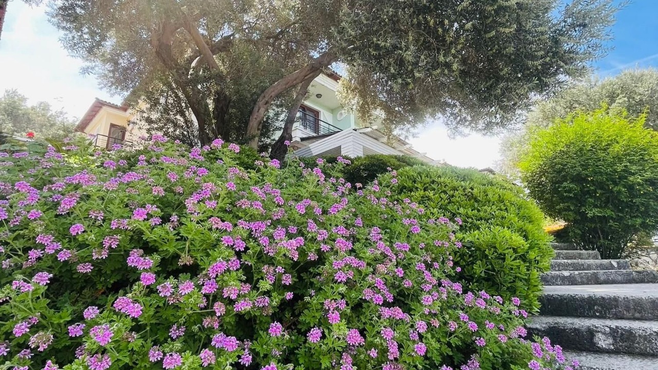 Photo of Outdoor in Ildır Koyu