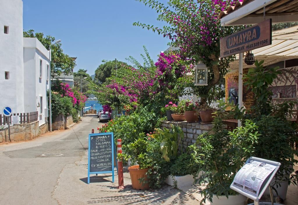 Photo of Outdoor in Torba