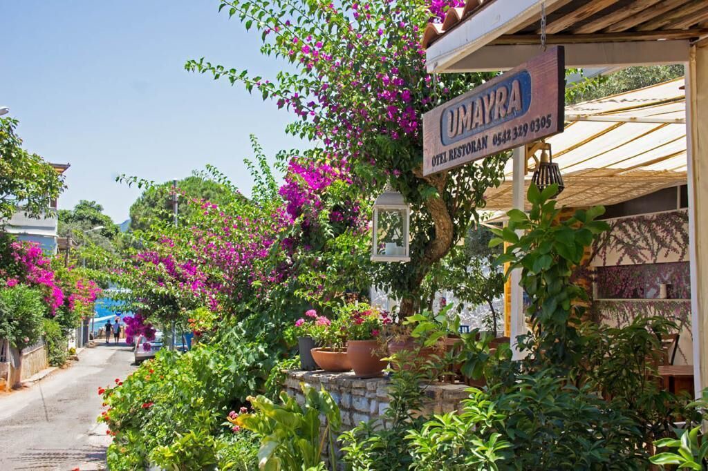Photo of Outdoor in Torba