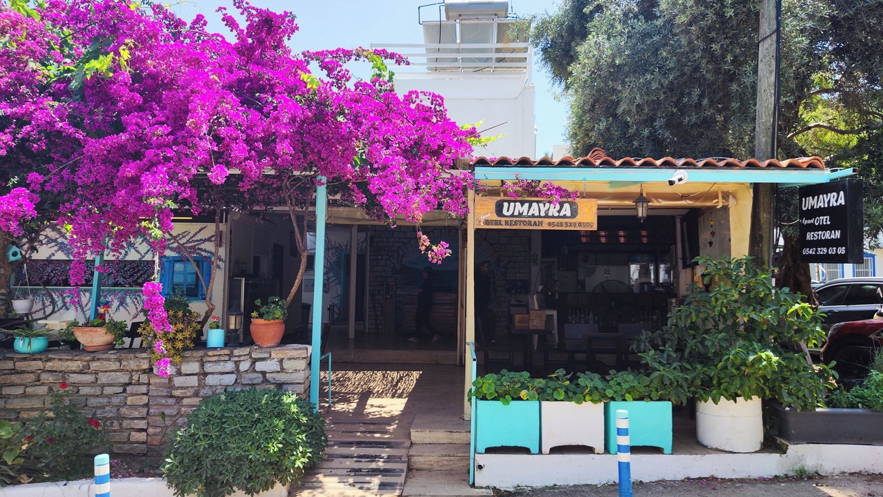 Photo of Outdoor in Torba