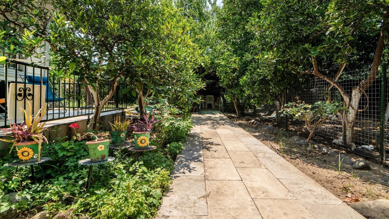 Photo of Outdoor in Koycegiz