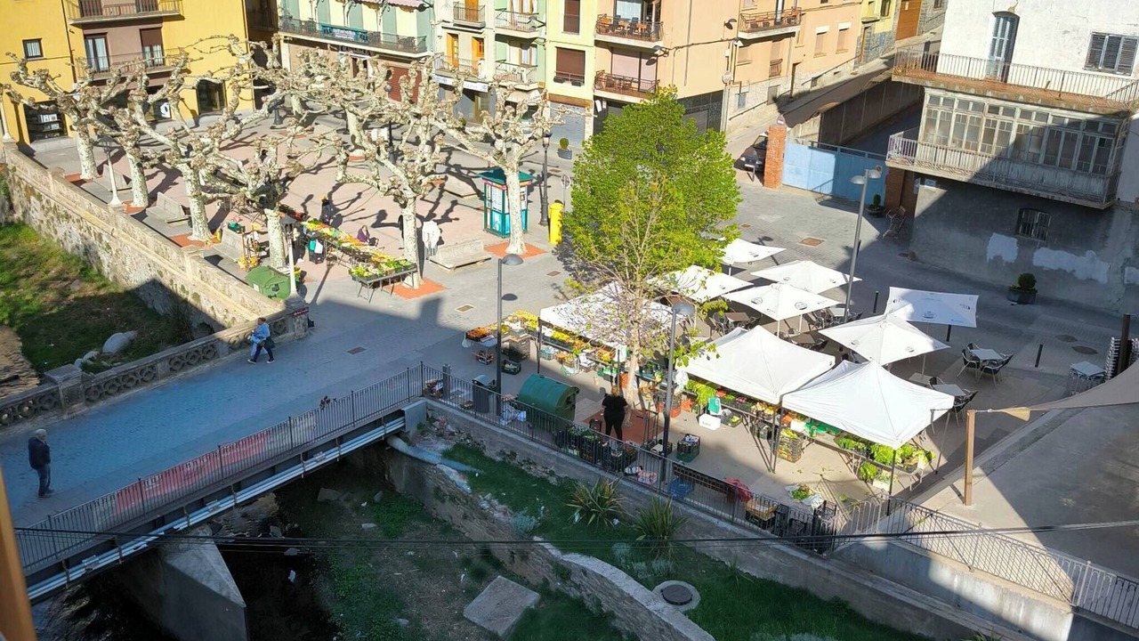 Photo of Outdoor in Ribes De Freser
