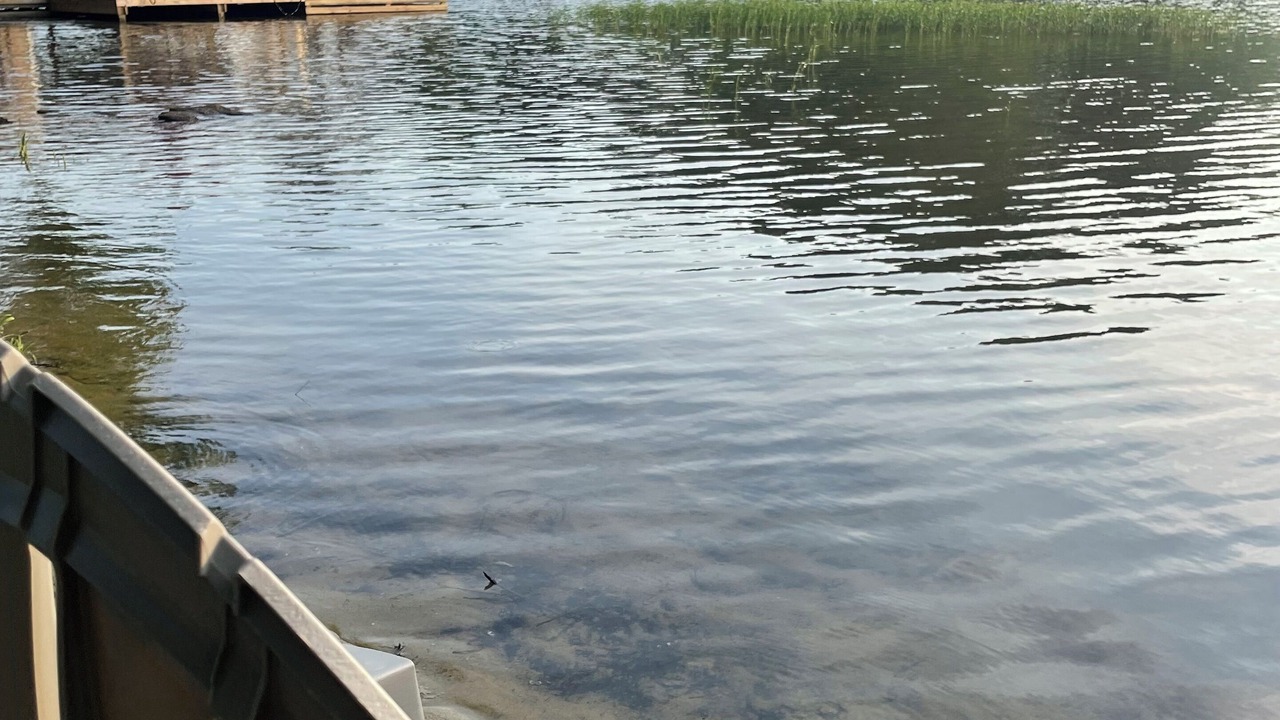 Photo of Outdoor in Myrick Estates
