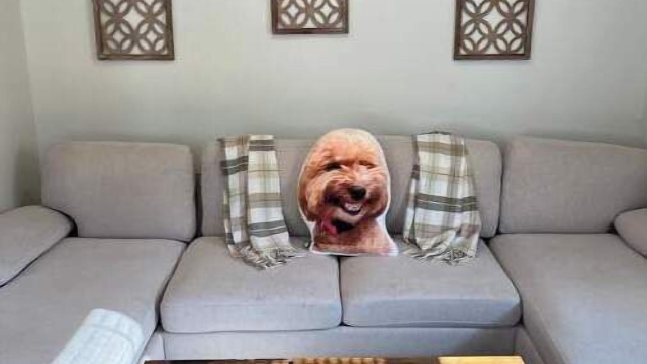 Photo of Livingroom in Highland Falls