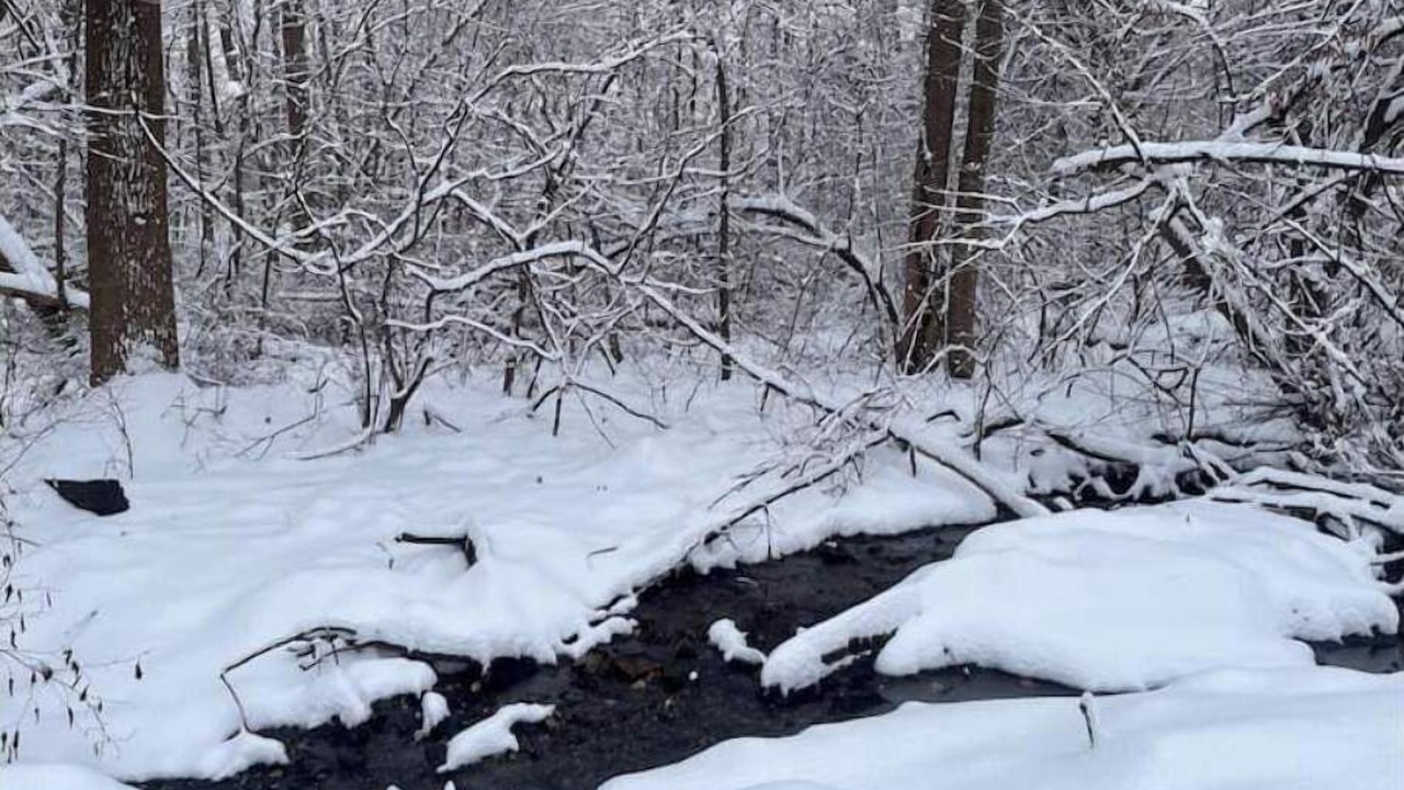 Photo of Others in Highland Falls
