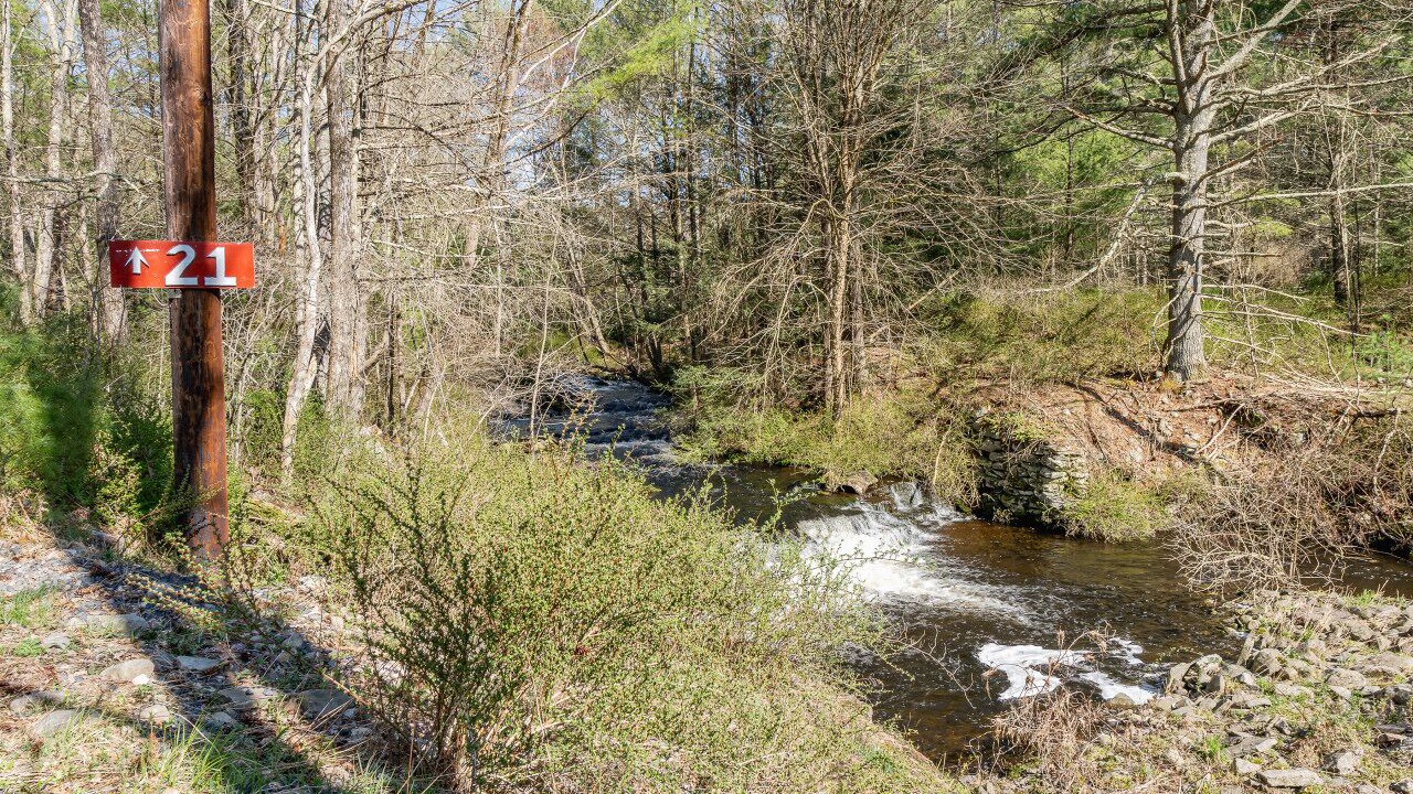 Photo of Outdoor in Sparrow Bush