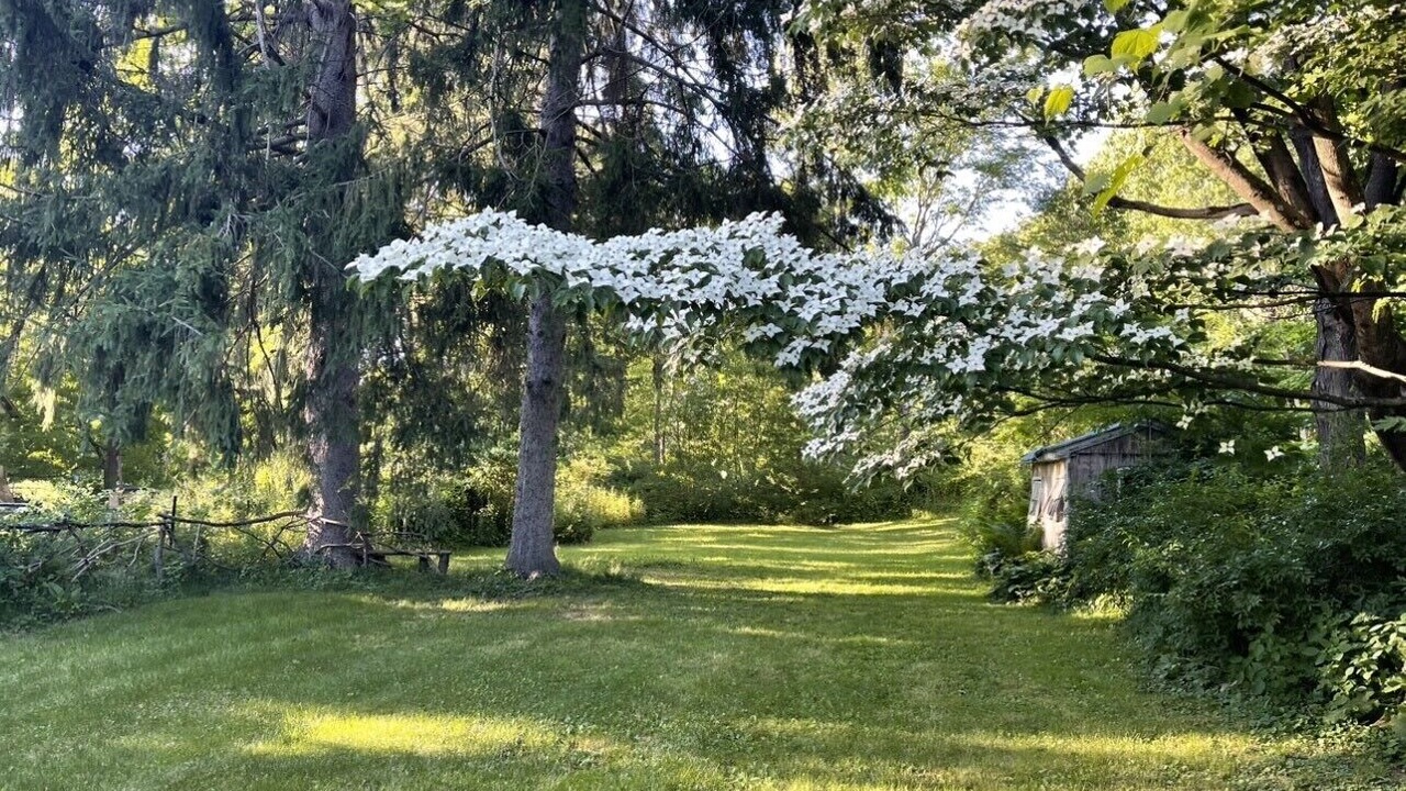Photo of Outdoor in Middle Hope