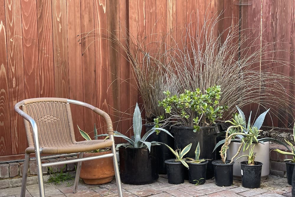 Photo of Outdoor in Sand Section
