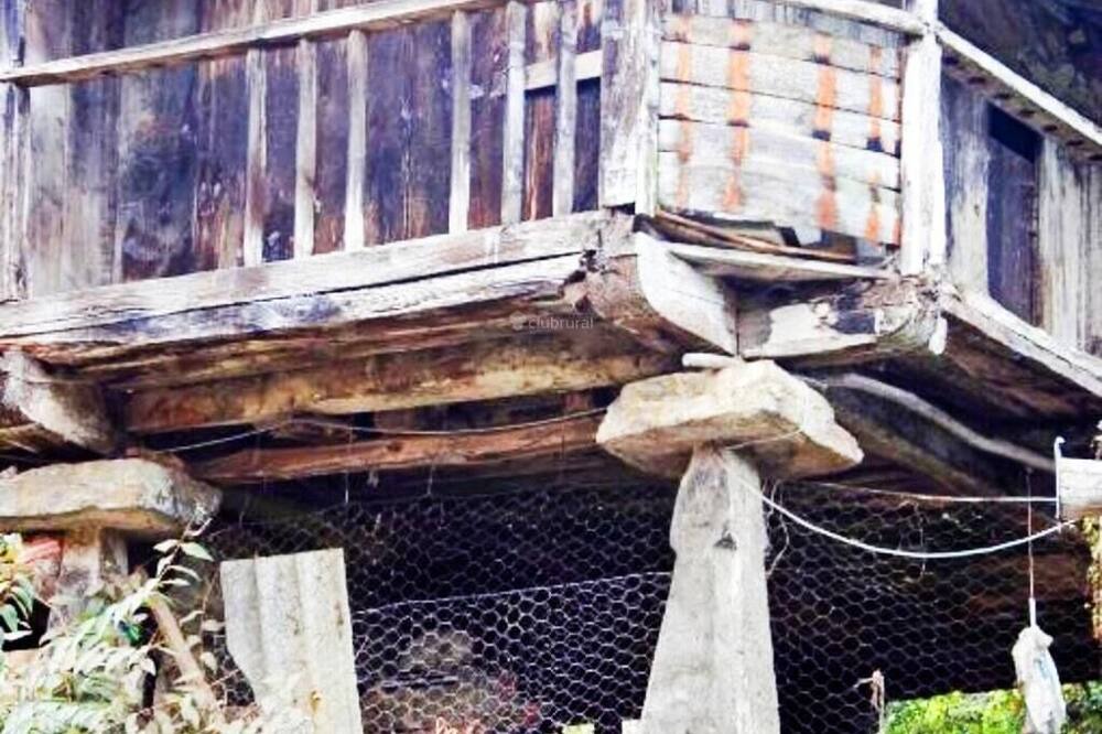 Photo of Outdoor in Bobia de Abajo