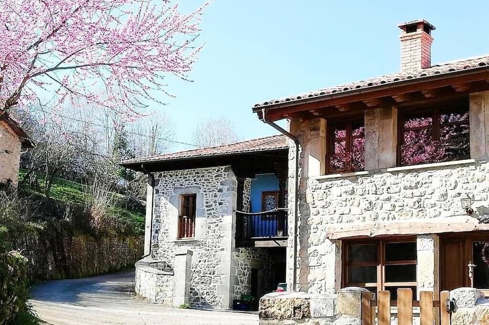 Photo of Outdoor in Bobia de Abajo
