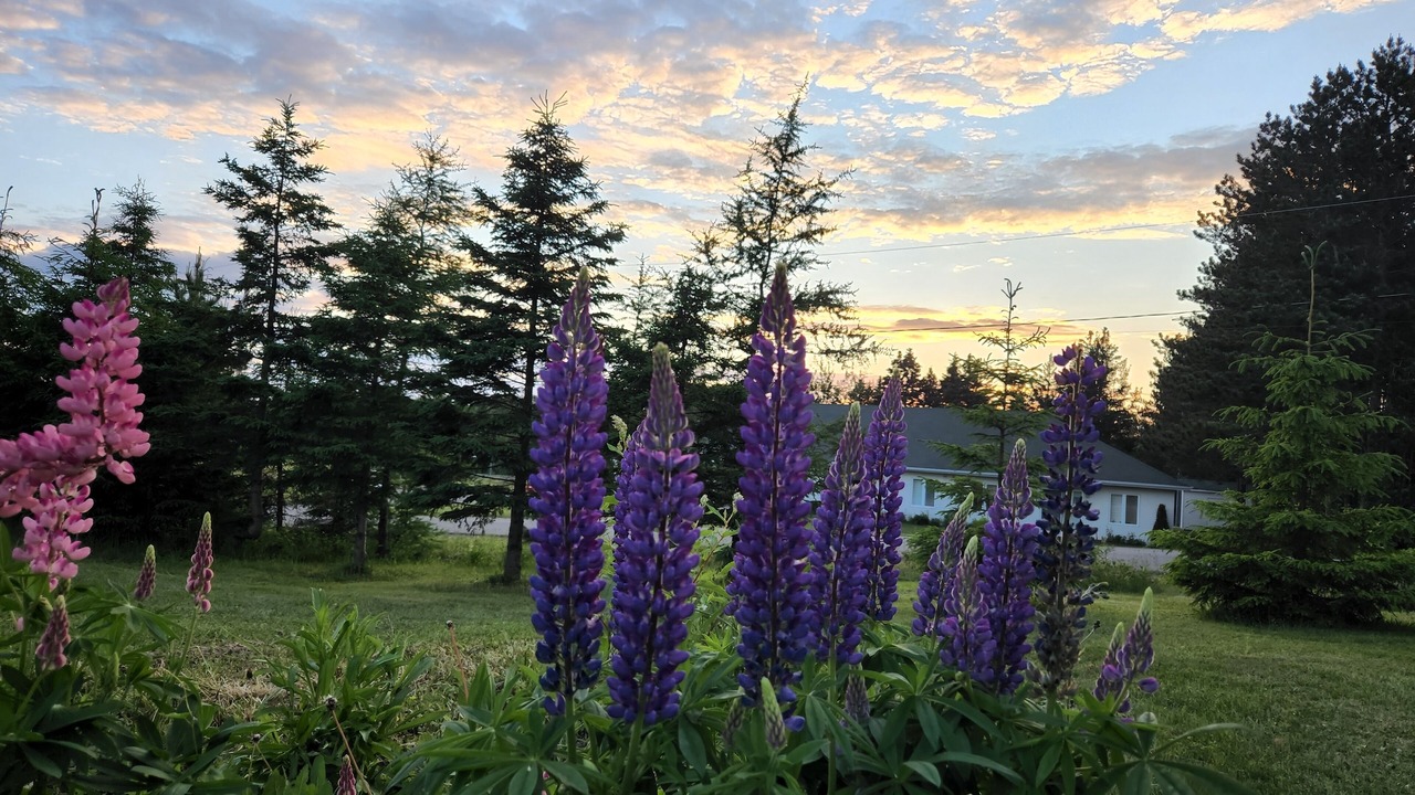 Photo of Outdoor in Saint-Marcel
