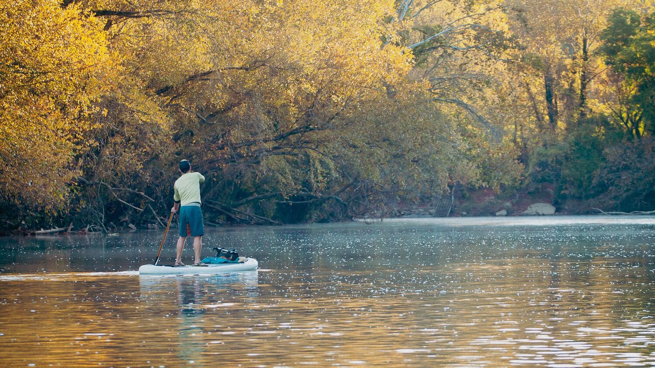 Photo of Others in Asheville