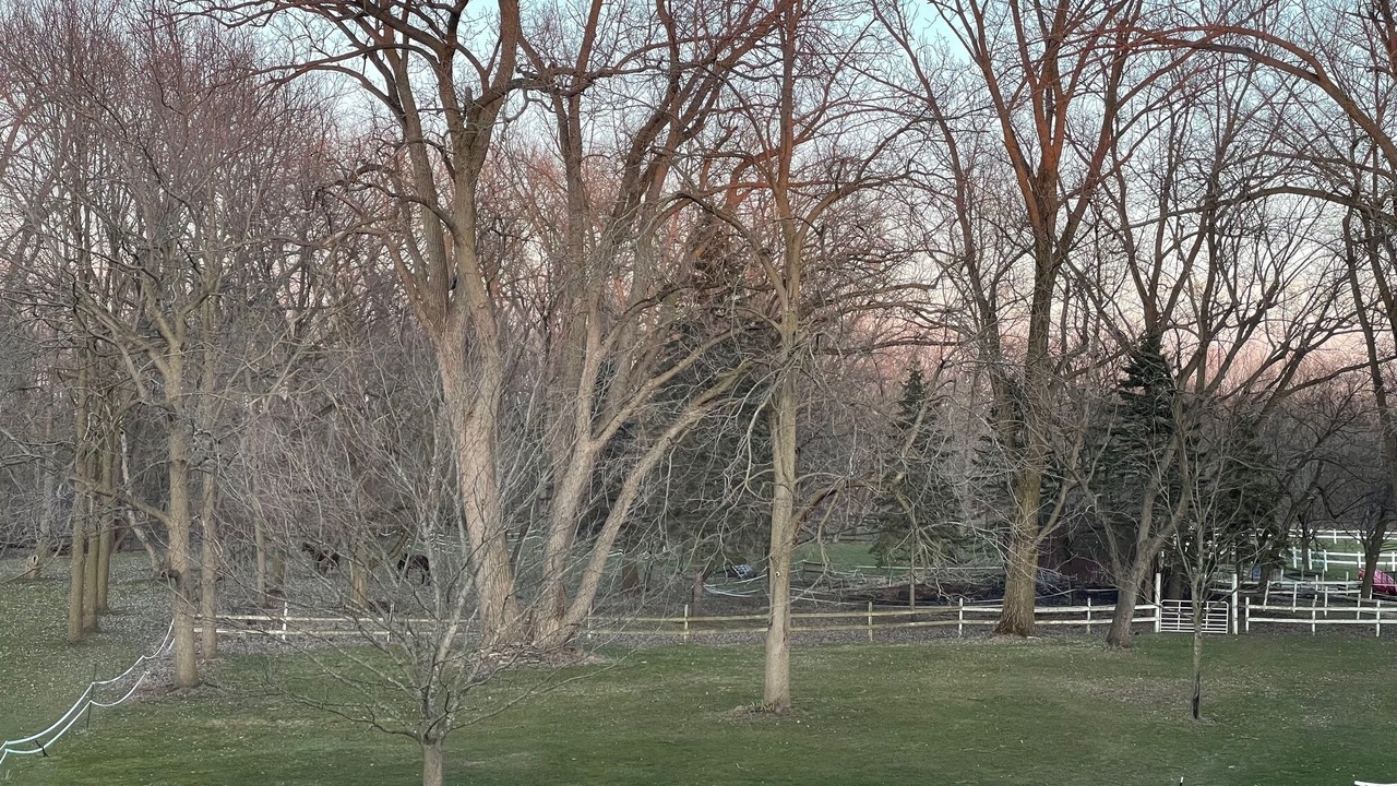 Photo of Outdoor in West Seneca
