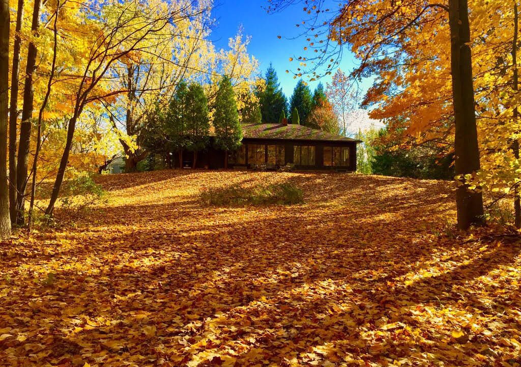 Photo of Outdoor in Portland