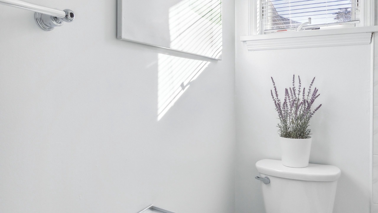 Photo of Bathroom in White Plains