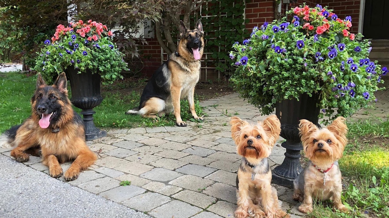 Photo of Outdoor in Caledon