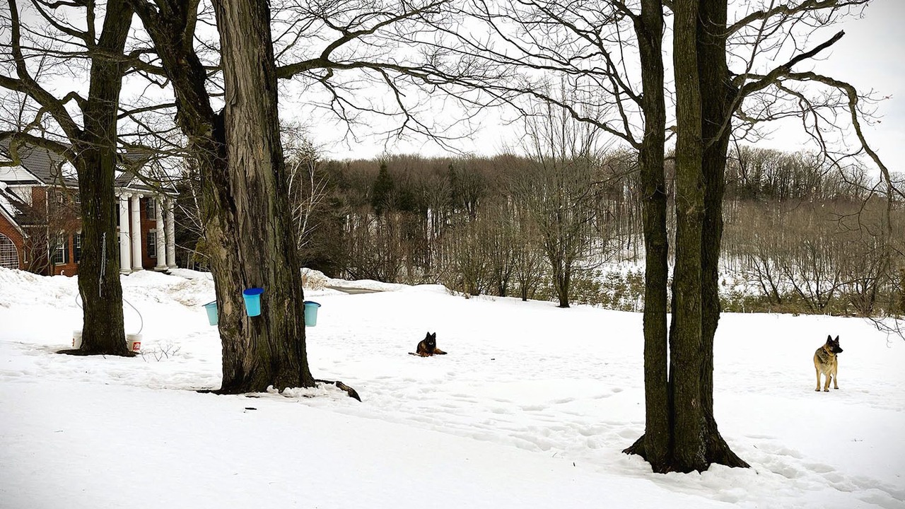 Photo of Outdoor in Caledon