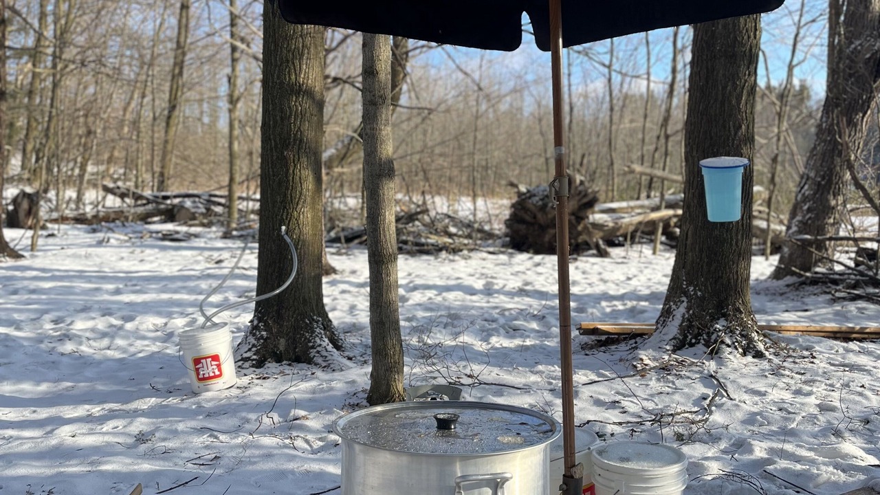 Photo of Outdoor in Caledon