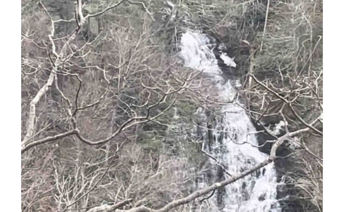 Photo of Outdoor in Sparrow Bush