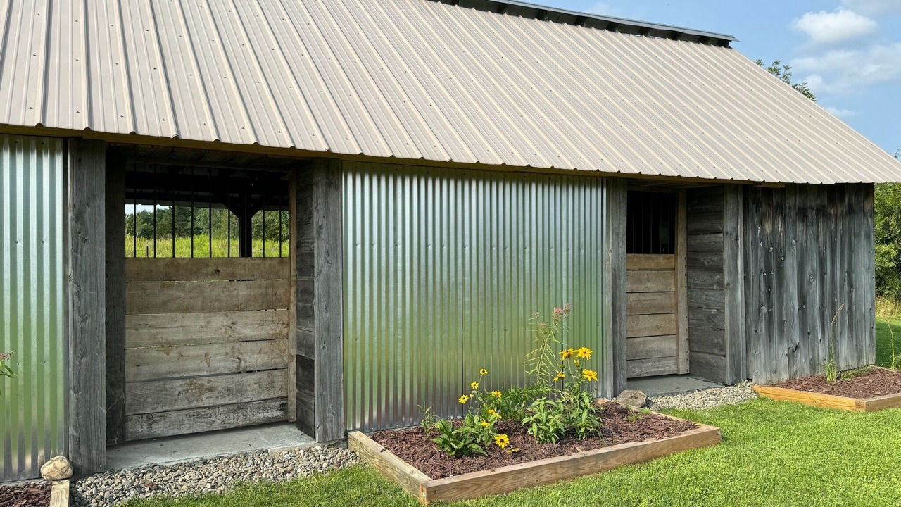 Photo of Outdoor in Hector
