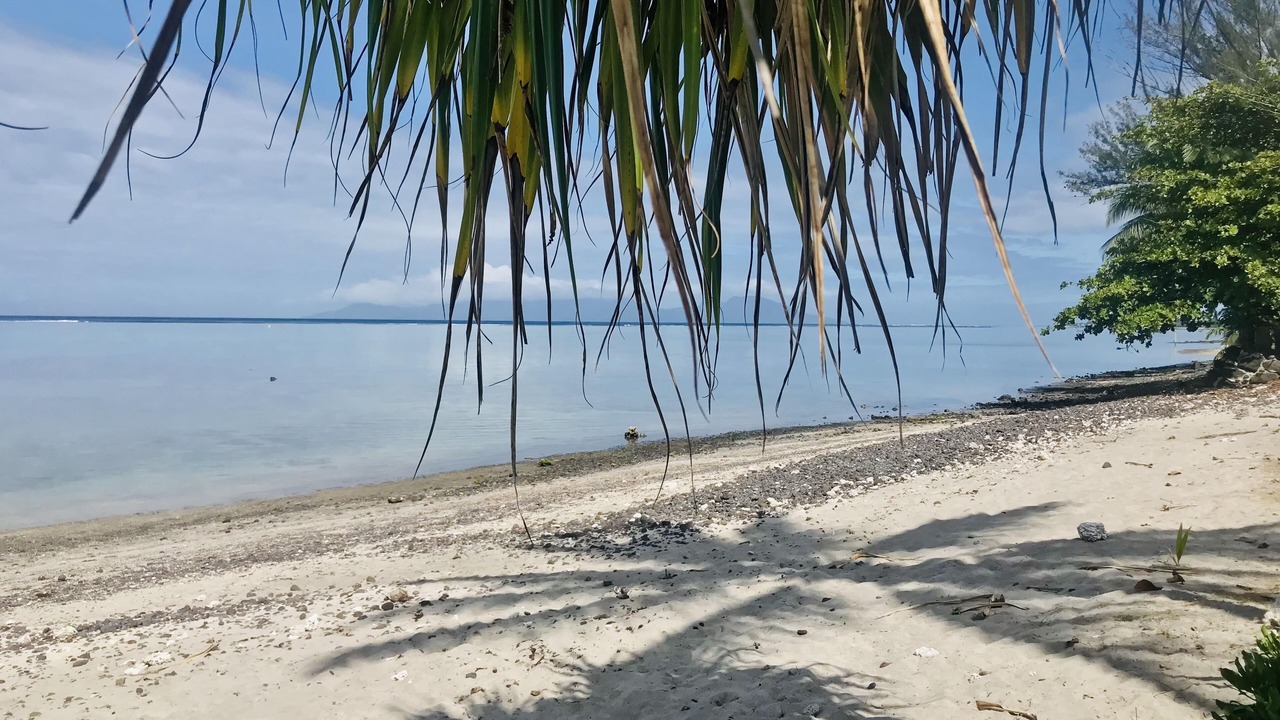 Photo of Others in Tahiti