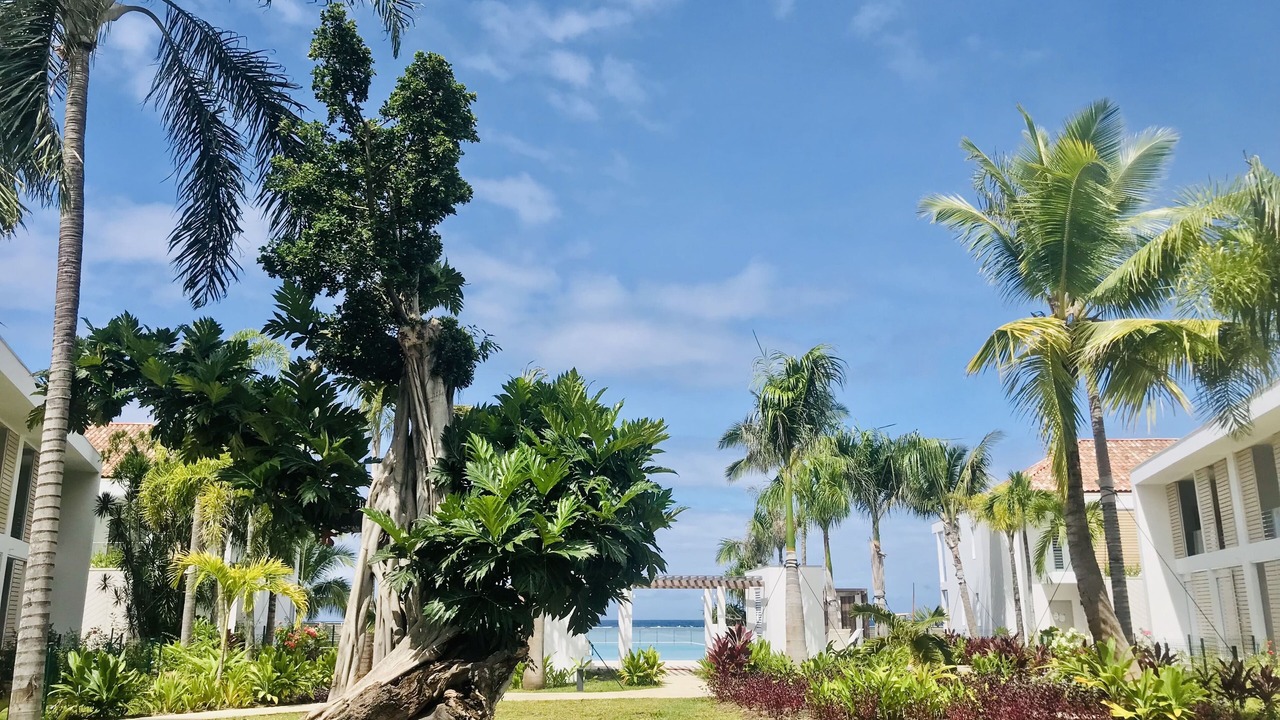 Photo of Outdoor in Tahiti