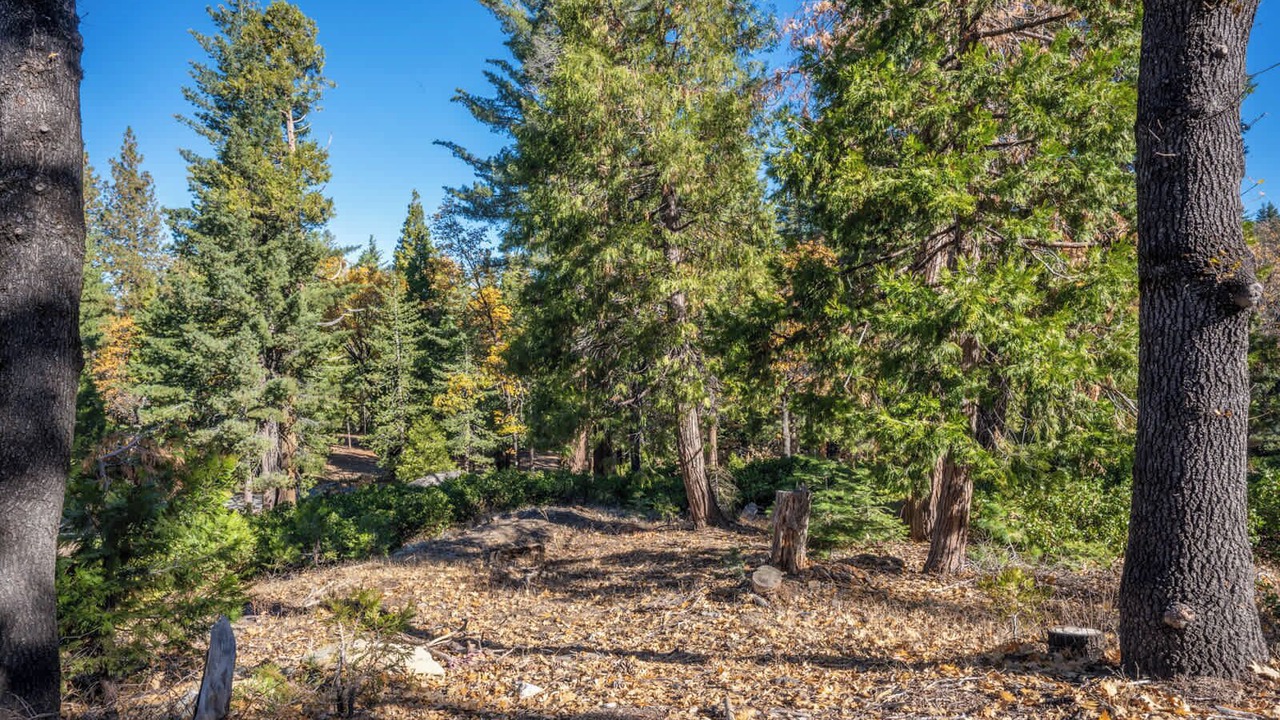 Photo of Others in Yosemite National Park
