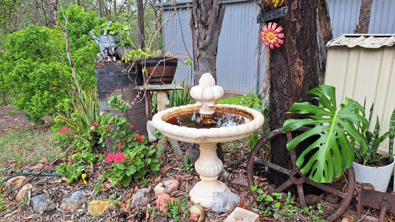 Photo of Outdoor in Mount Crosby