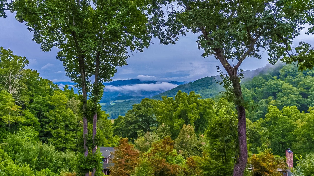 Photo of Outdoor in Mountain Air