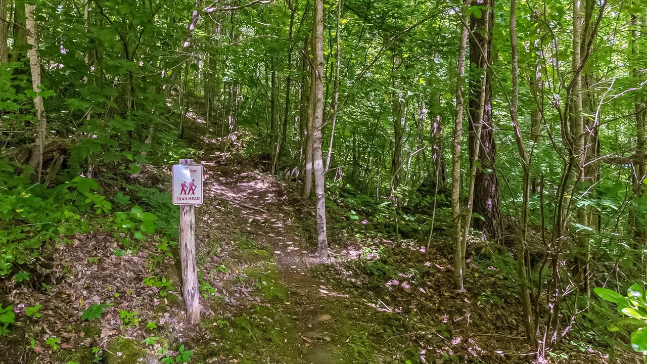 Photo of Outdoor in Mountain Air