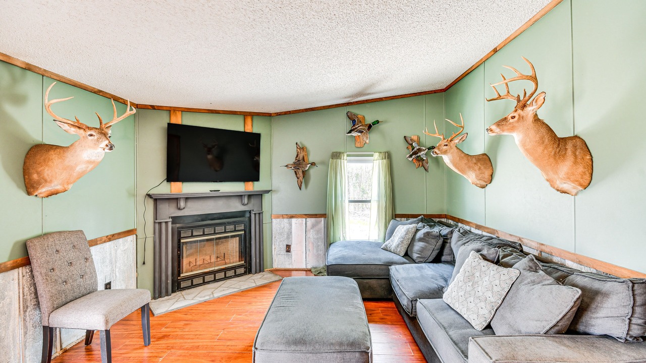 Photo of Livingroom in Union Springs